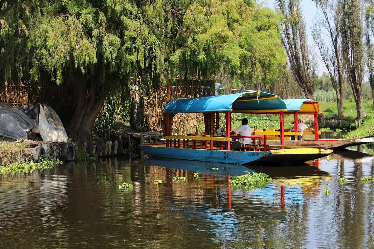 A trajinera with a blue canopy moored at a wooden landing on the Island of the Dolls in Xochimilco, with willow trees behind